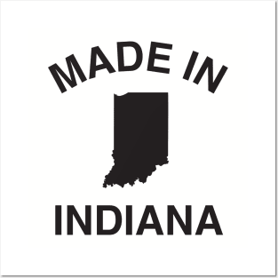 Made in Indiana Posters and Art